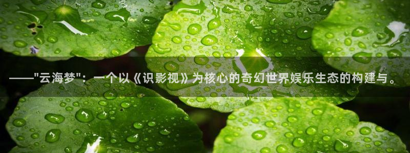第七直播