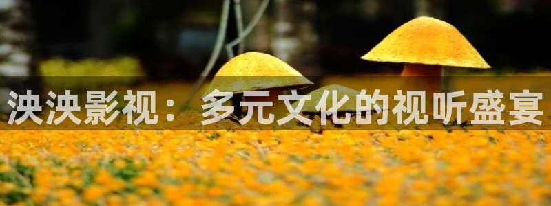第七影院色综合：泱泱影视：多元文化的视听盛宴