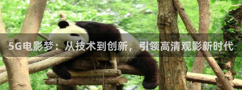 第七成人影院
