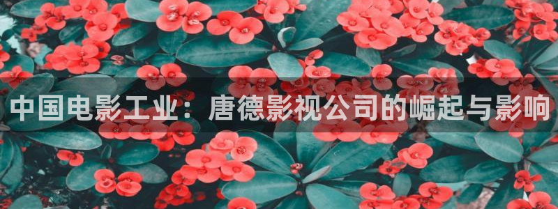第七色影院最新地址