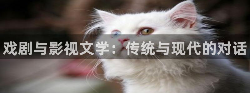 神马电影网第七影院