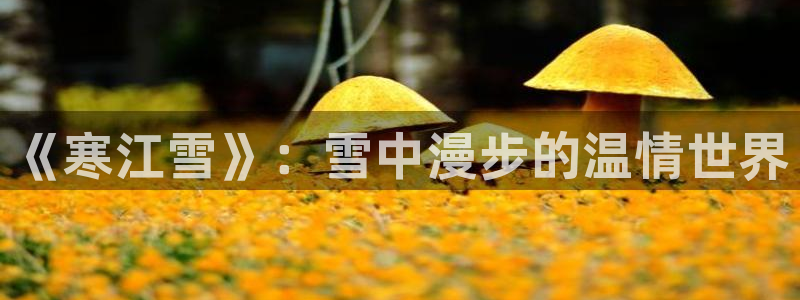 第七午夜影院