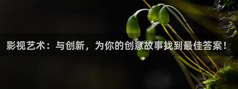 第七影院 神马电影网