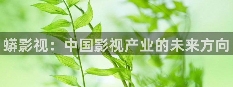 第七影院花花影院