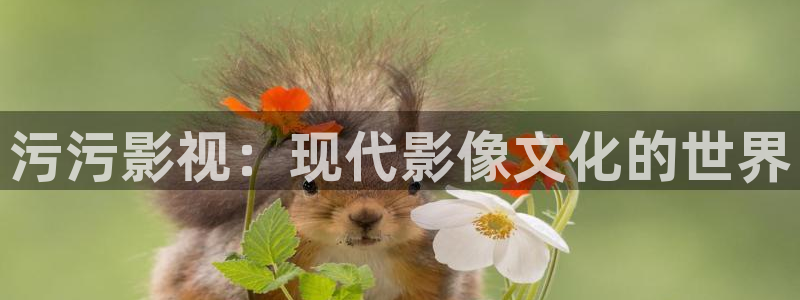 王牌对王牌第七季星辰影院